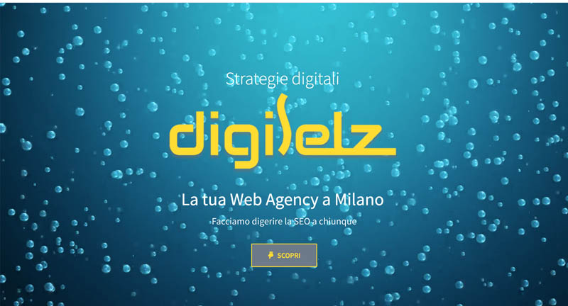 Creazione Web Site – Cliente DigiSelz