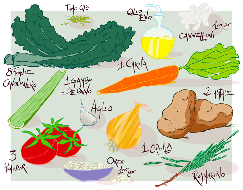 Illustratore Disegnatore Lorenzo Donati Natalori Milano ingredienti cavolo nero zuppa patate carote aglio